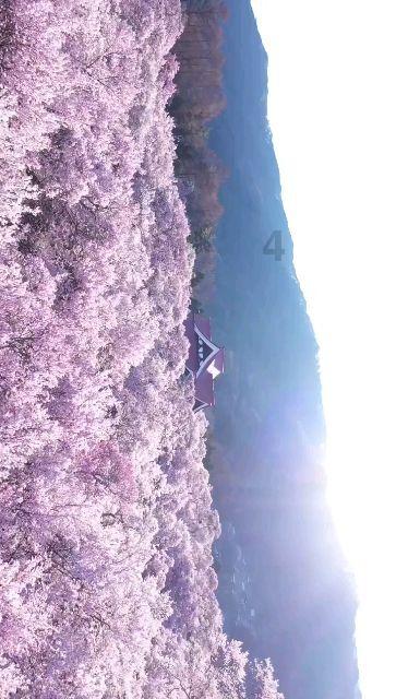 上海消防部门发布校园消防安全提示